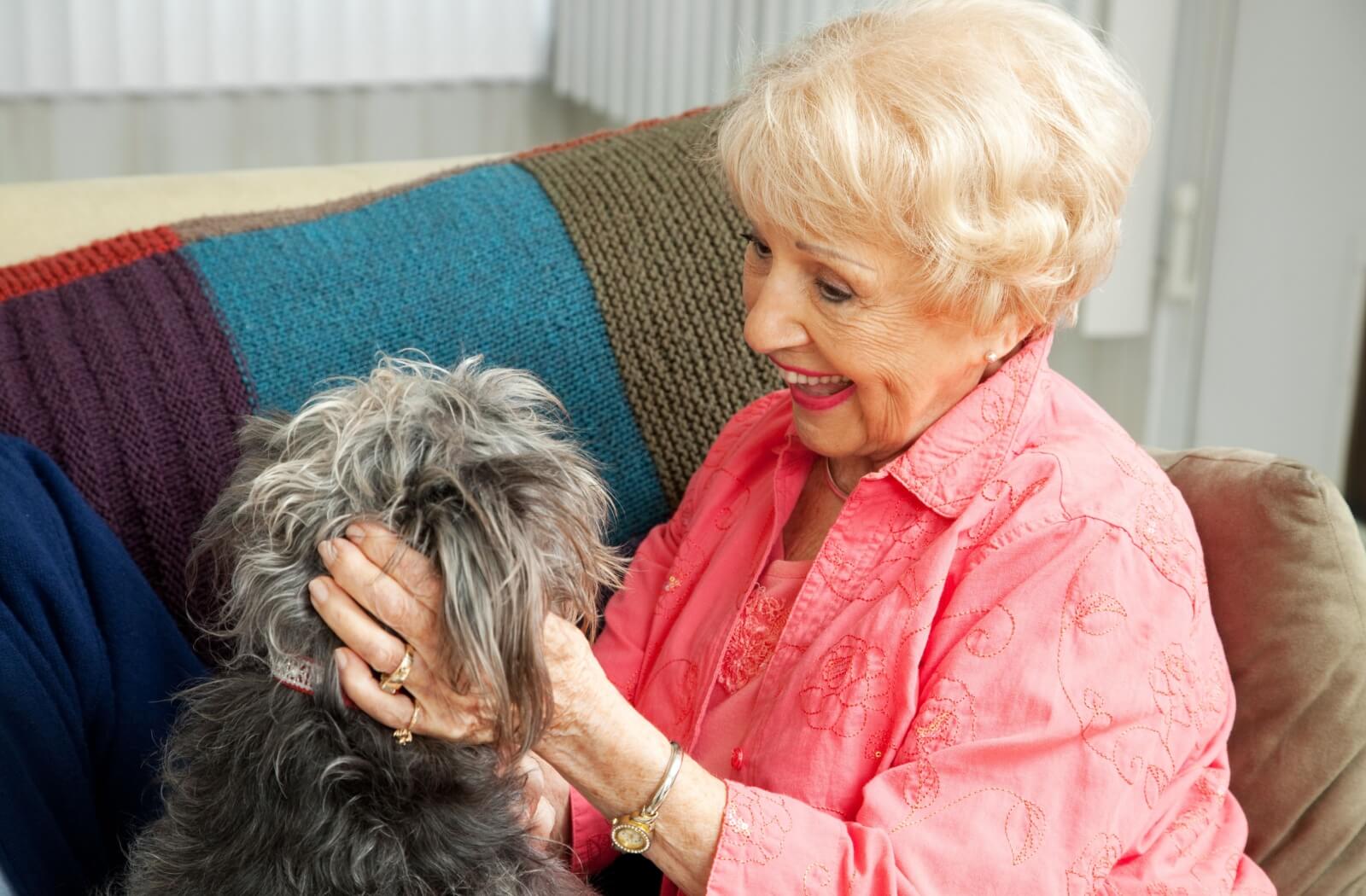 An older adult woman playing with a small dog in her living room.